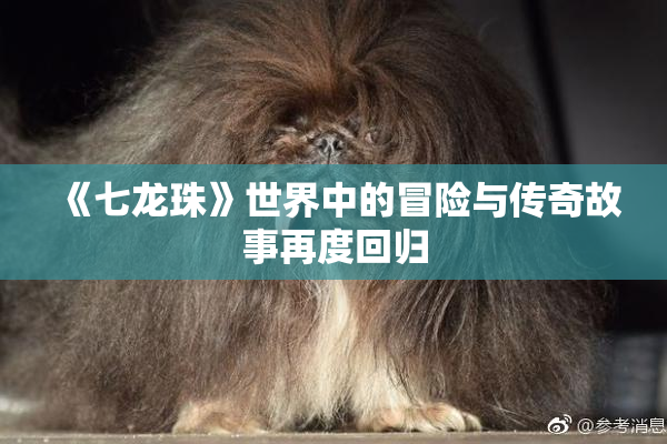《七龙珠》世界中的冒险与传奇故事再度回归
