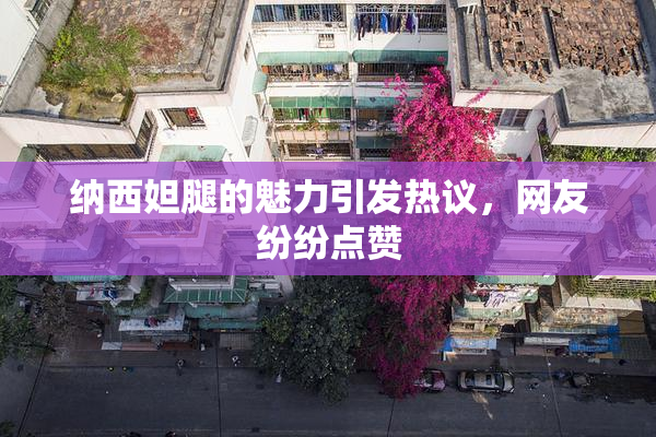 纳西妲腿的魅力引发热议，网友纷纷点赞