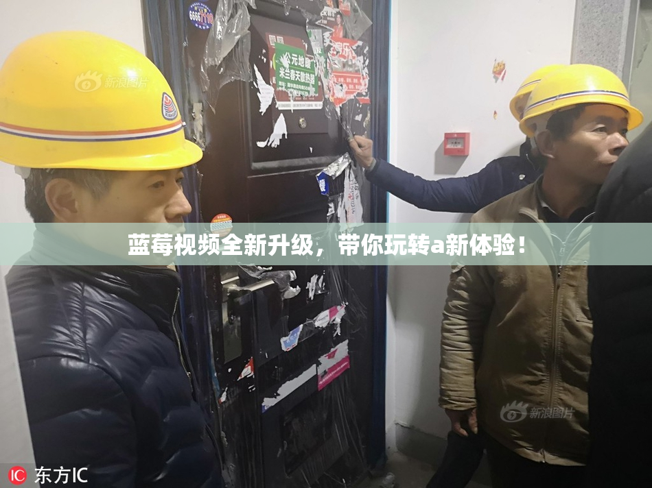蓝莓视频全新升级，带你玩转a新体验！