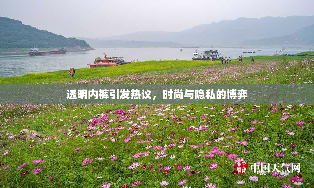 透明内裤引发热议，时尚与隐私的博弈
