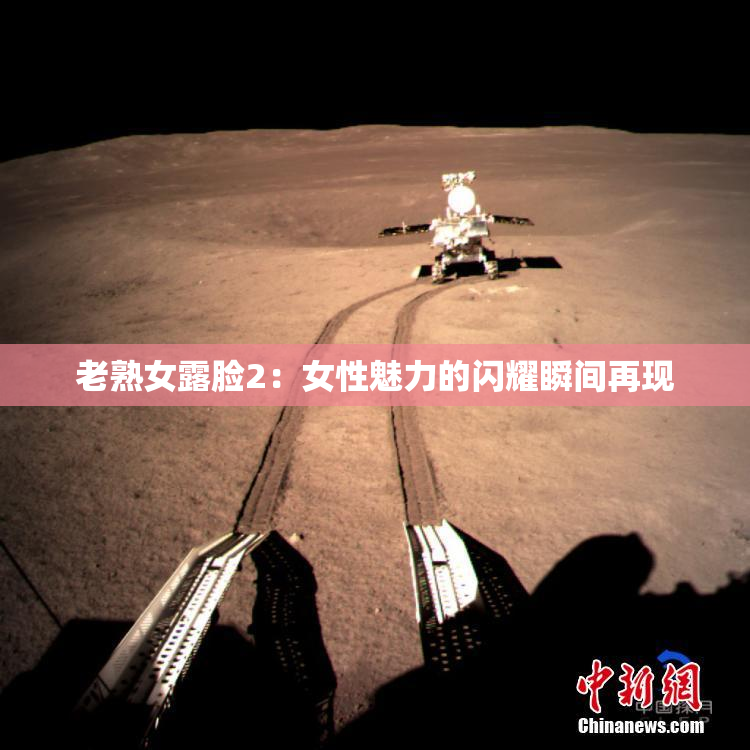 老熟女露脸2：女性魅力的闪耀瞬间再现