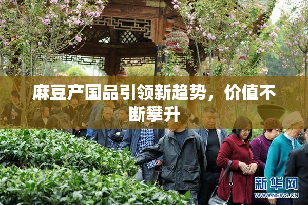 麻豆产国品引领新趋势，价值不断攀升
