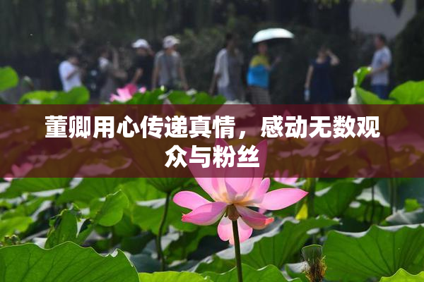 董卿用心传递真情，感动无数观众与粉丝