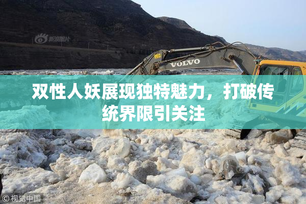 双性人妖展现独特魅力，打破传统界限引关注