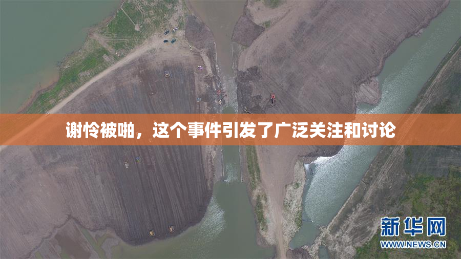 谢怜被啪，这个事件引发了广泛关注和讨论