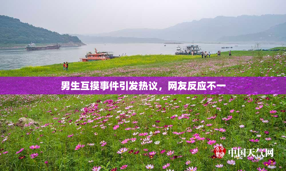 男生互摸事件引发热议，网友反应不一