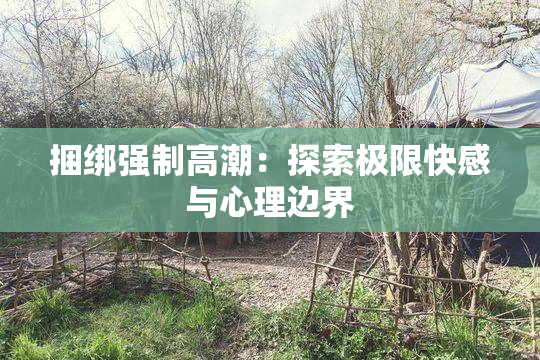 捆绑强制高潮：探索极限快感与心理边界