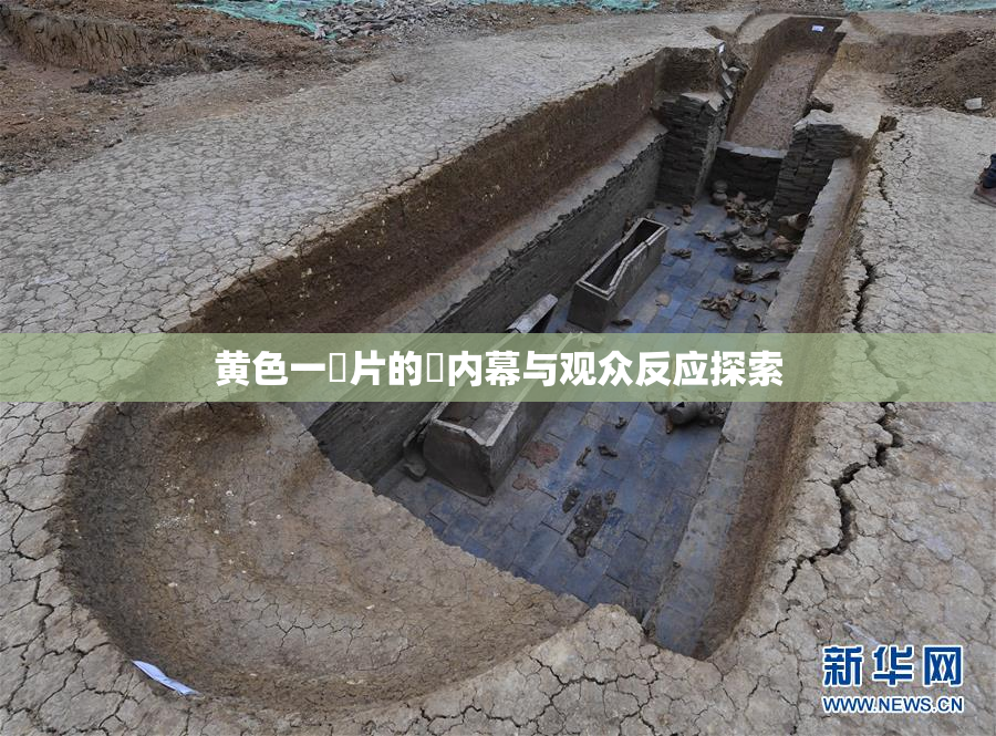 黄色一級片的黃内幕与观众反应探索
