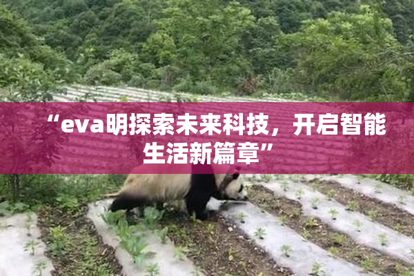 “eva明探索未来科技，开启智能生活新篇章”