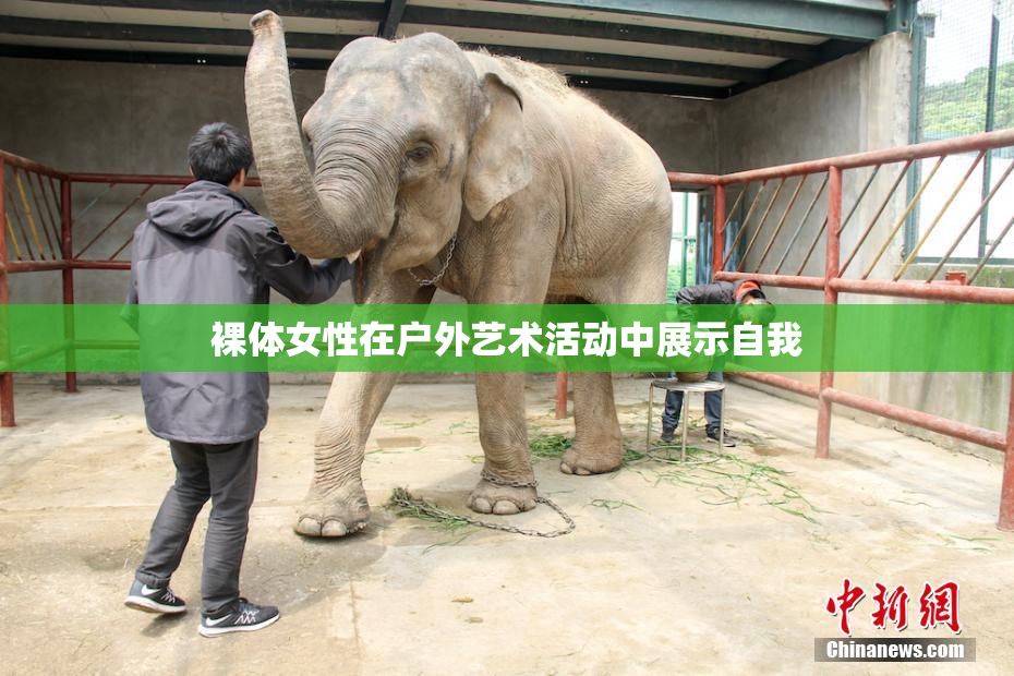 裸体女性在户外艺术活动中展示自我