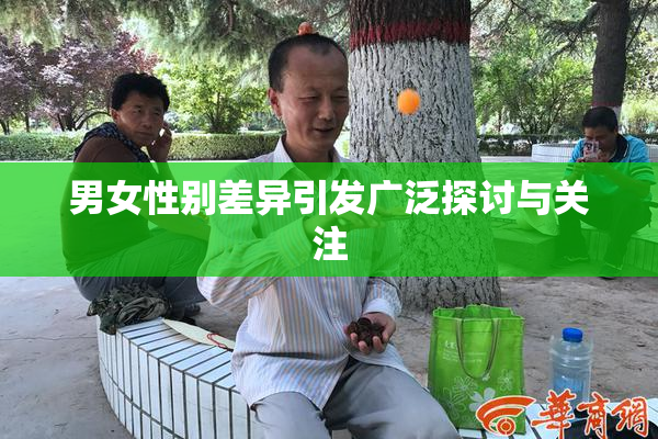 男女性别差异引发广泛探讨与关注