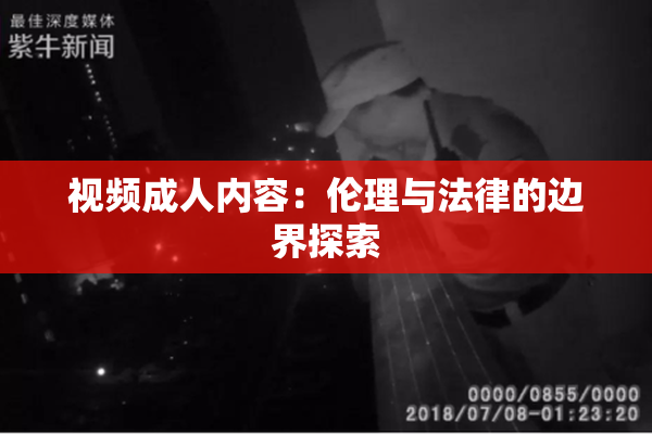 视频成人内容：伦理与法律的边界探索