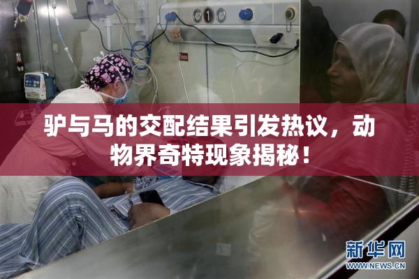 驴与马的交配结果引发热议，动物界奇特现象揭秘！