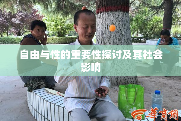 自由与性的重要性探讨及其社会影响