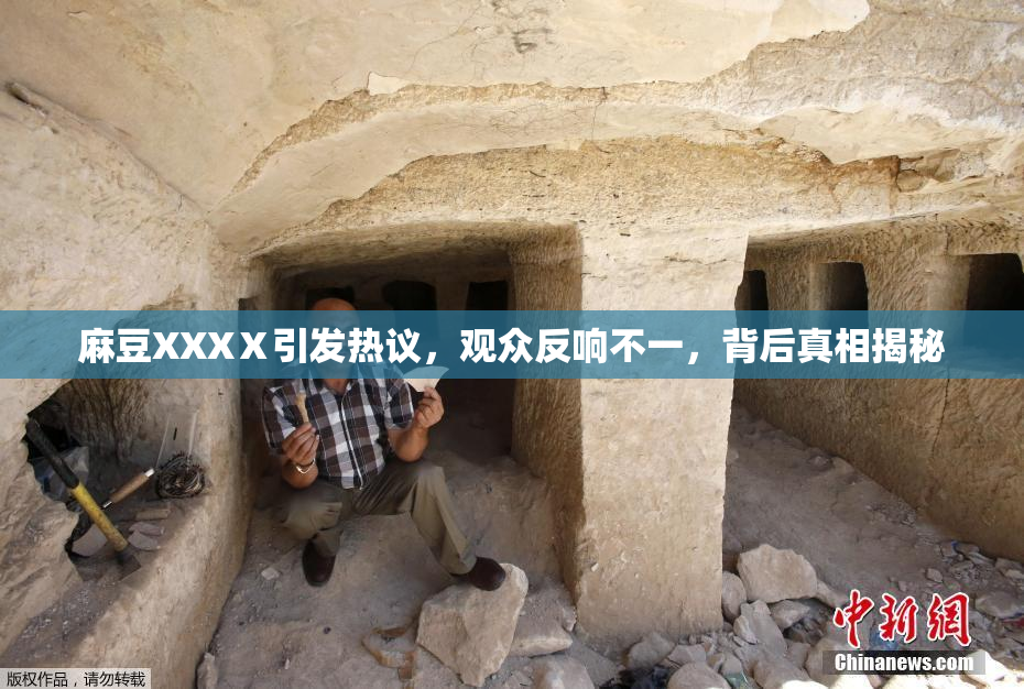 麻豆XXXⅩ引发热议，观众反响不一，背后真相揭秘