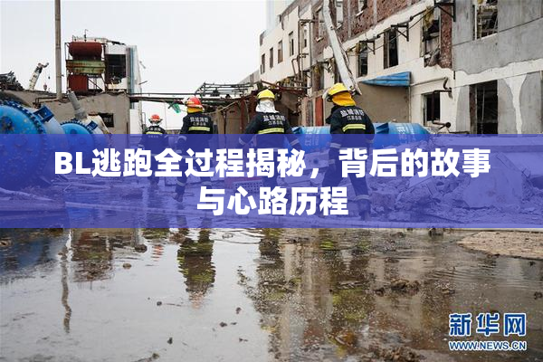 BL逃跑全过程揭秘，背后的故事与心路历程