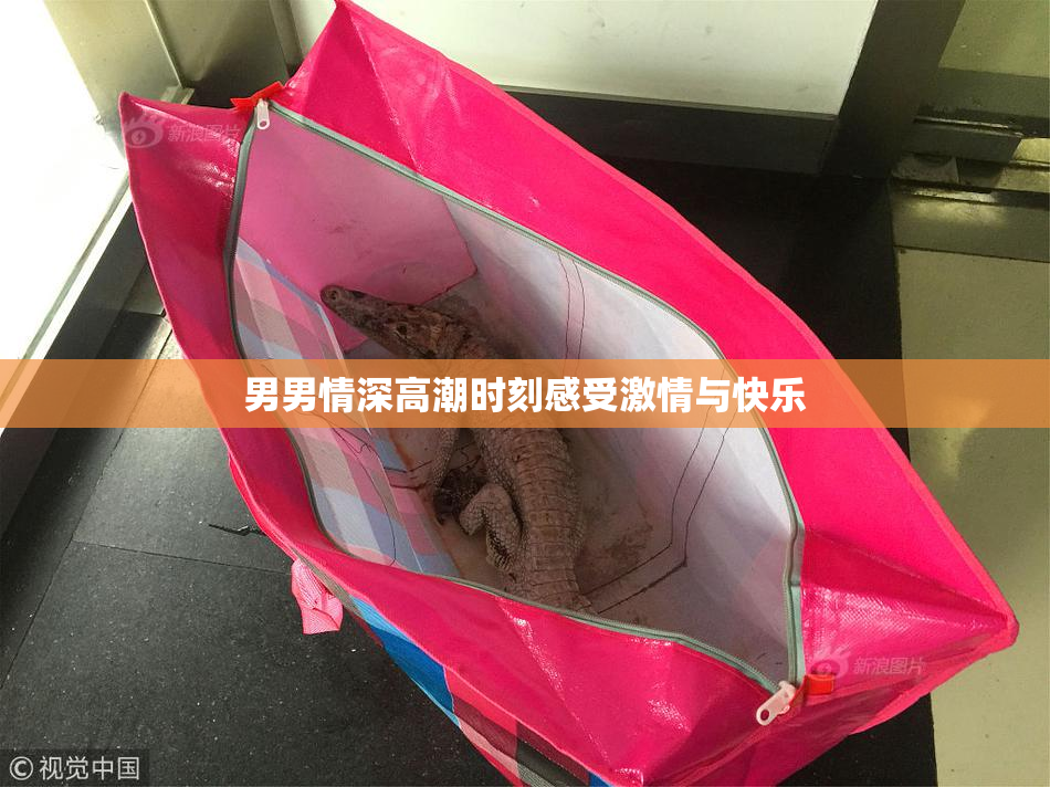 男男情深高潮时刻感受激情与快乐