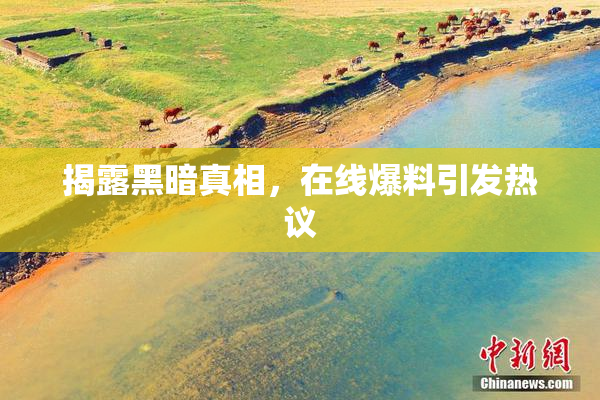 揭露黑暗真相，在线爆料引发热议