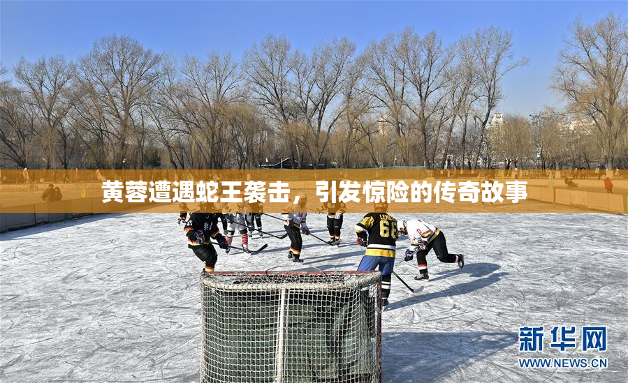 黄蓉遭遇蛇王袭击，引发惊险的传奇故事
