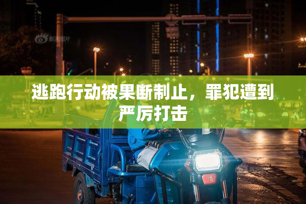 逃跑行动被果断制止，罪犯遭到严厉打击