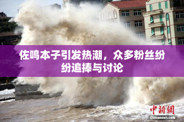 佐鸣本子引发热潮，众多粉丝纷纷追捧与讨论