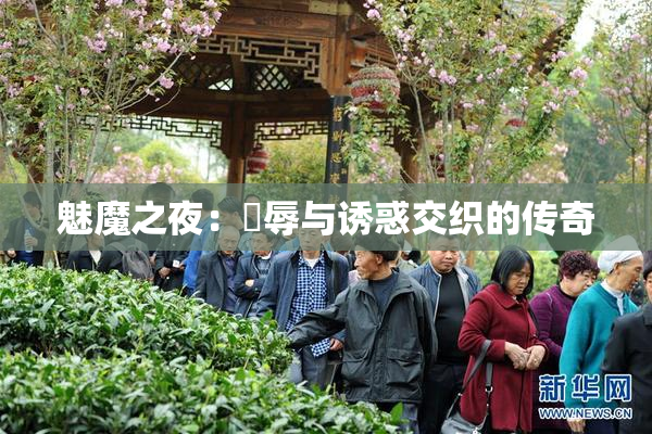 魅魔之夜：婬辱与诱惑交织的传奇
