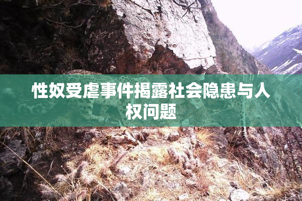 性奴受虐事件揭露社会隐患与人权问题