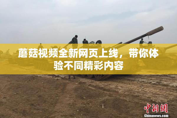 蘑菇视频全新网页上线，带你体验不同精彩内容