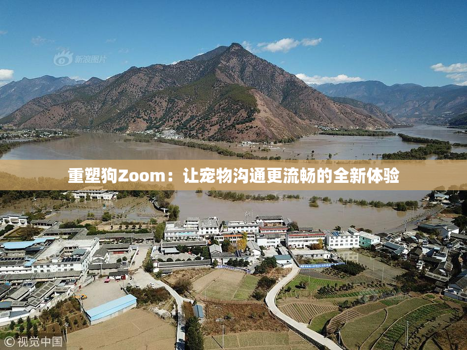 重塑狗Zoom：让宠物沟通更流畅的全新体验