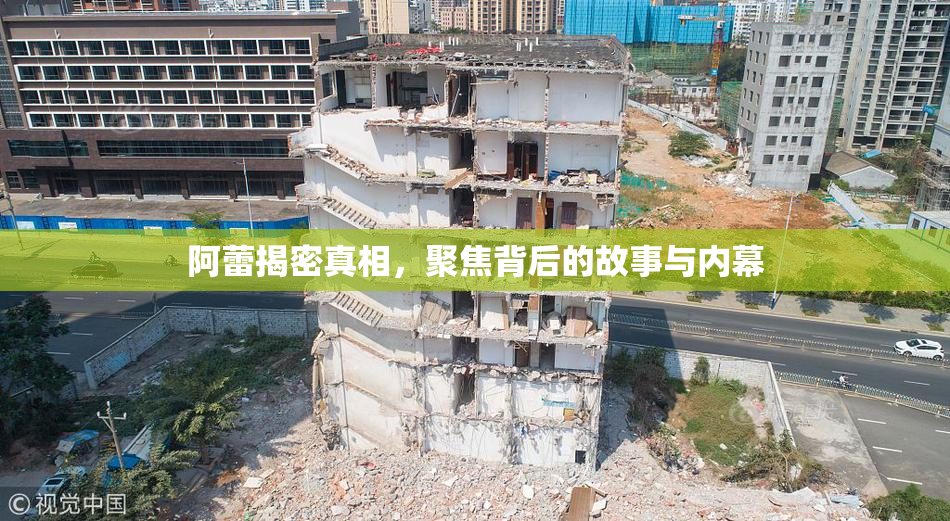 阿蕾揭密真相，聚焦背后的故事与内幕