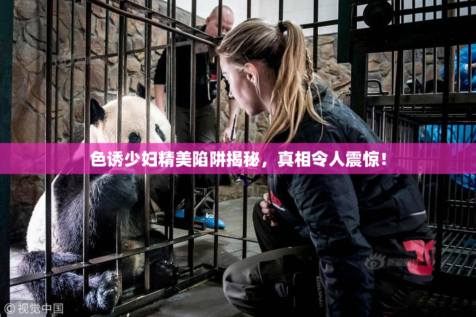 色诱少妇精美陷阱揭秘，真相令人震惊！