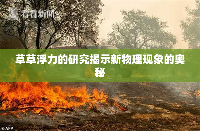 草草浮力的研究揭示新物理现象的奥秘