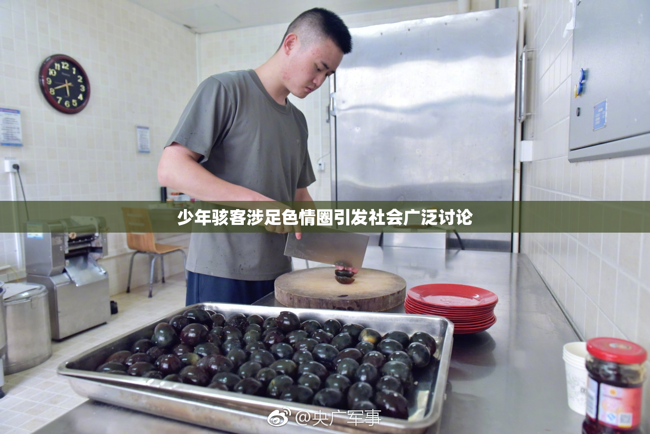 少年骇客涉足色情圈引发社会广泛讨论