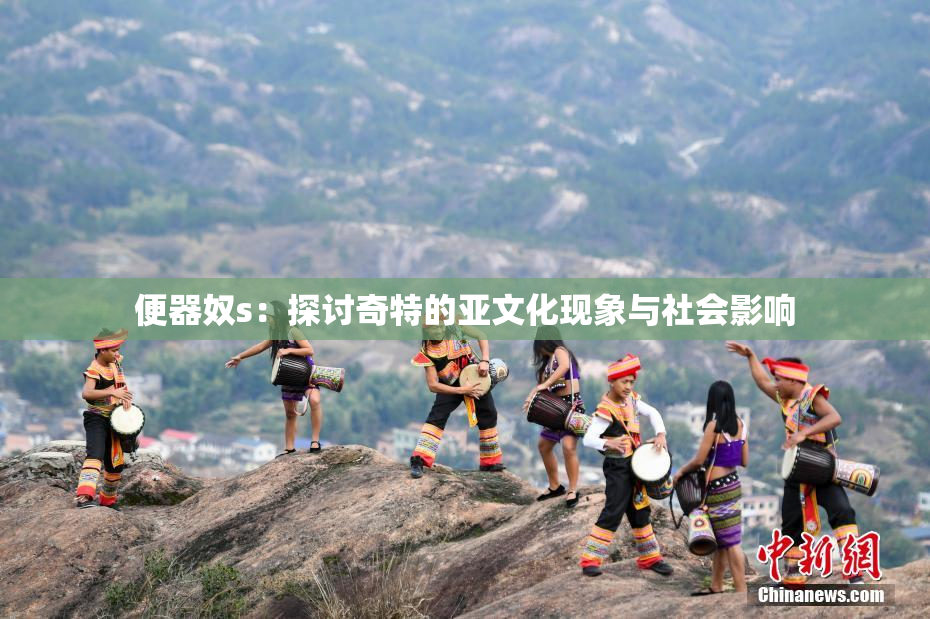便器奴s：探讨奇特的亚文化现象与社会影响
