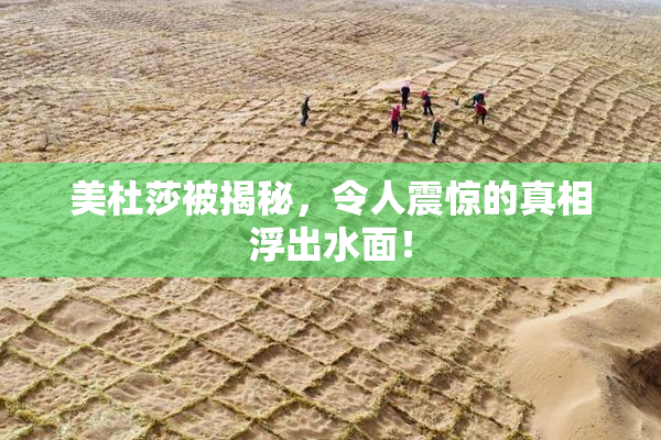 美杜莎被揭秘，令人震惊的真相浮出水面！