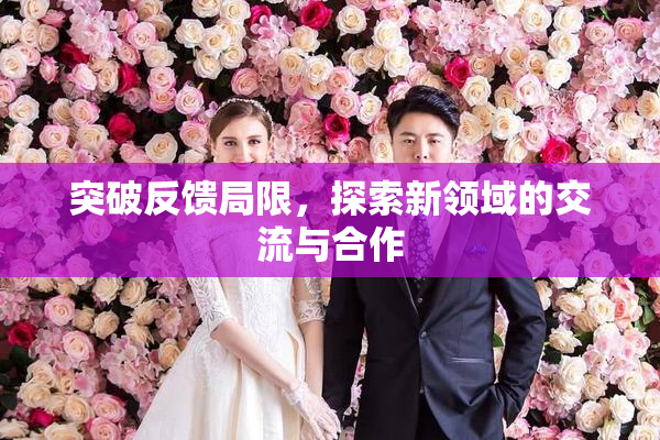 突破反馈局限，探索新领域的交流与合作