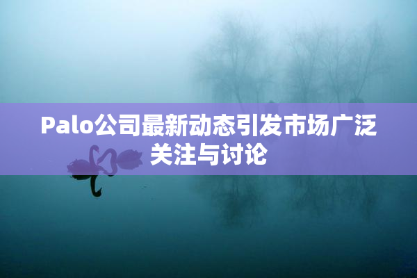 Palo公司最新动态引发市场广泛关注与讨论
