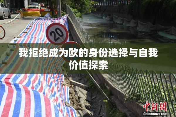 我拒绝成为欧的身份选择与自我价值探索