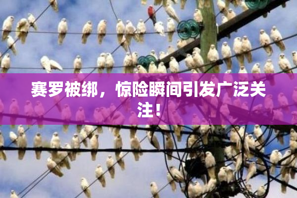 赛罗被绑，惊险瞬间引发广泛关注！