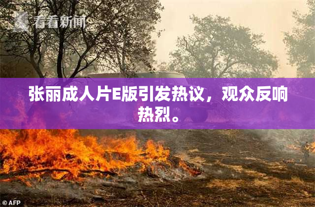 张丽成人片E版引发热议，观众反响热烈。