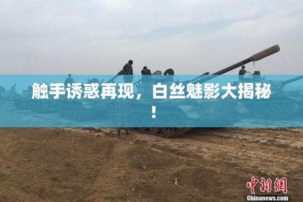 触手诱惑再现，白丝魅影大揭秘！