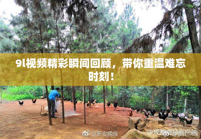 9l视频精彩瞬间回顾，带你重温难忘时刻！