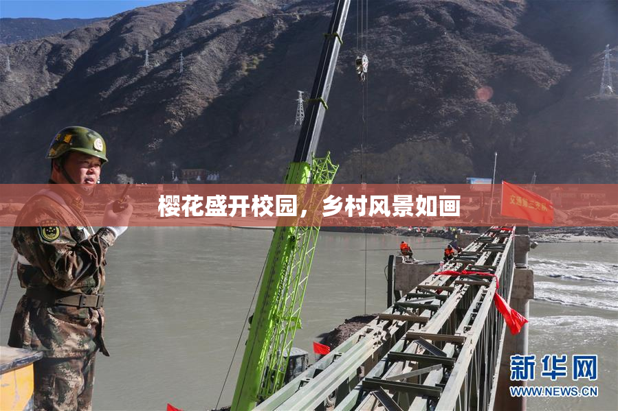 樱花盛开校园，乡村风景如画