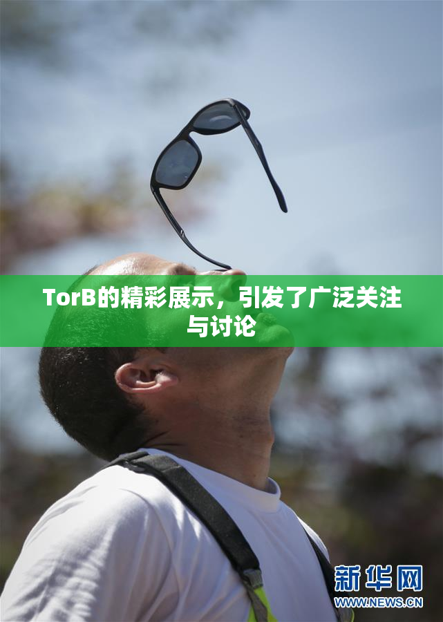 TorB的精彩展示，引发了广泛关注与讨论