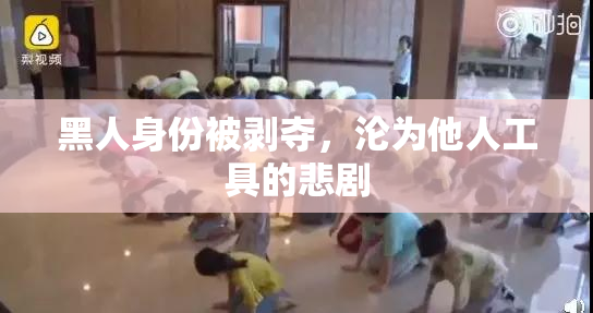 黑人身份被剥夺，沦为他人工具的悲剧