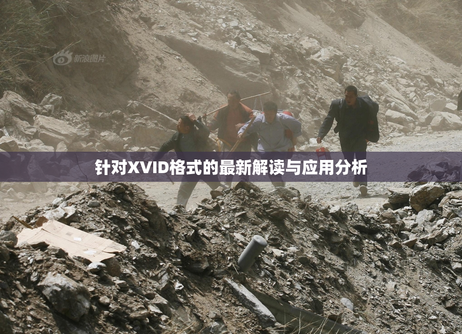 针对XVID格式的最新解读与应用分析