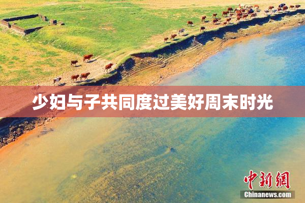 少妇与子共同度过美好周末时光