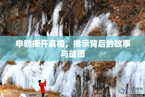 申鹤撕开真相，揭示背后的故事与谜团