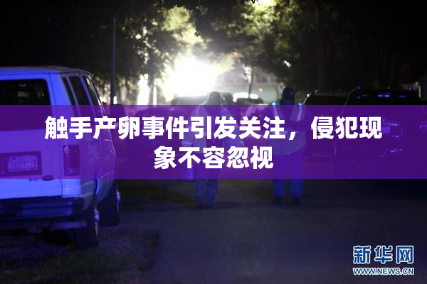 触手产卵事件引发关注，侵犯现象不容忽视