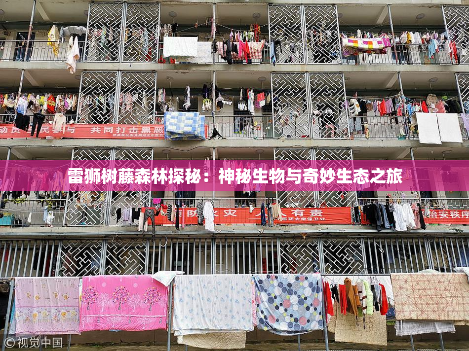 雷狮树藤森林探秘：神秘生物与奇妙生态之旅